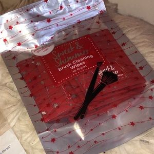 Brush Cleaning Wipes